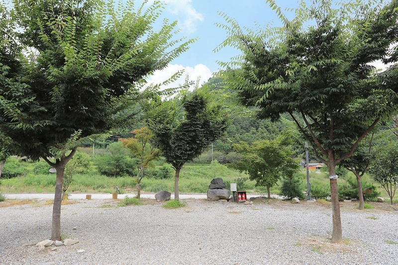 성주자연오토캠핑장 시설 사진 11