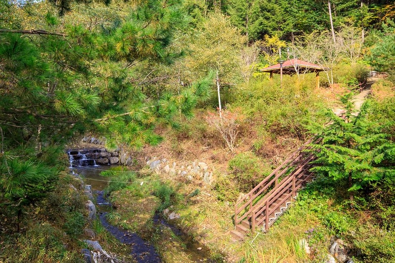 생거진천 자연휴양림 시설 사진 3