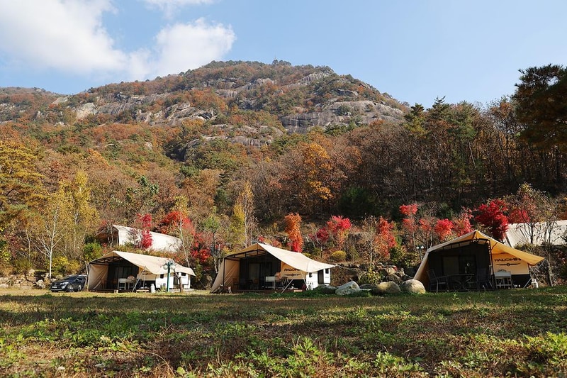 벤캠프(Ben Camp) 시설 사진 12