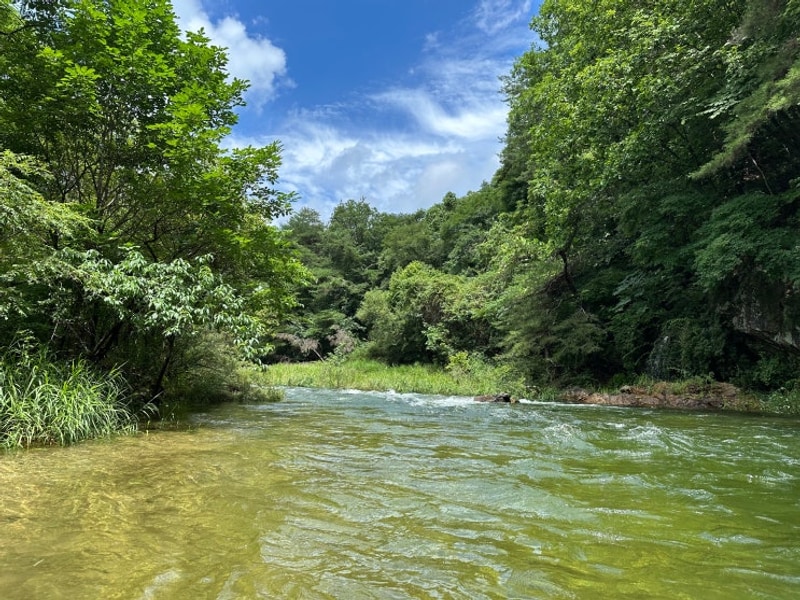 깊어 물놀이 하기 좋은 법흥계곡 캠핑장 - 영월 첫물내기캠핑장 A9