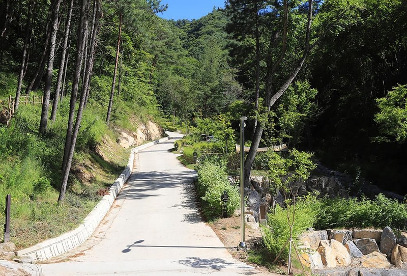 하추자연휴양림 야영장 시설 사진 16