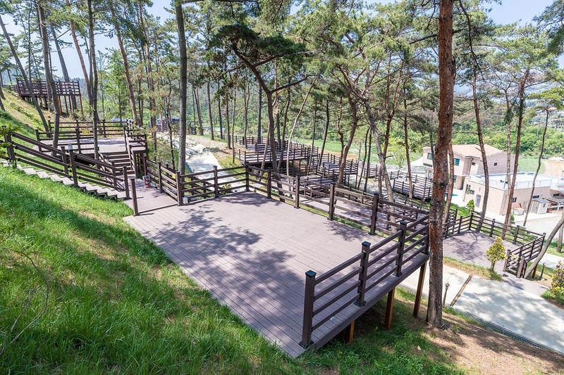 솔향기캠핑장 시설 사진 1