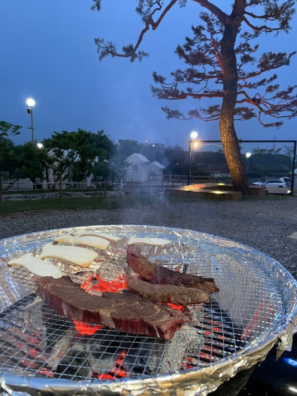 [경기 화성] 깔끔하고 고요한 캠핑장, 안석관광농원 #내돈내산...