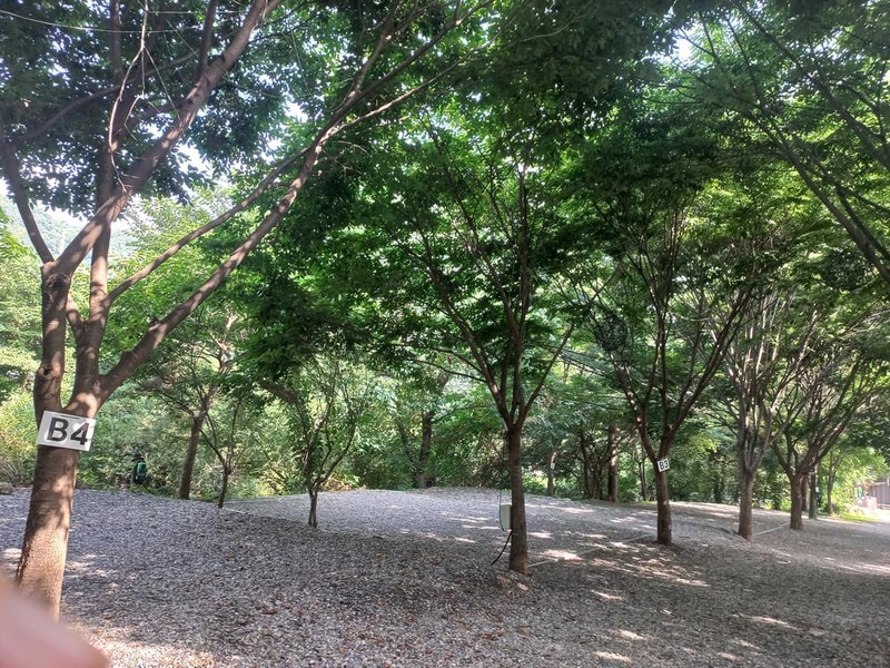 하이몽글램핑&캠핑장 시설 사진 12