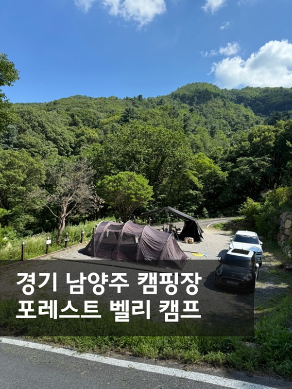 [경기/남양주] 시원한... 우거진 산세의 만남 '포레스트 벨리 캠프'