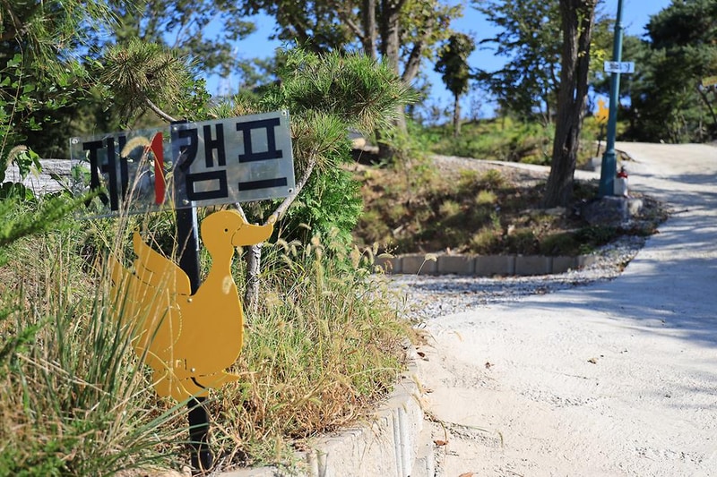 검디 관광농원 야영장 시설 사진 16