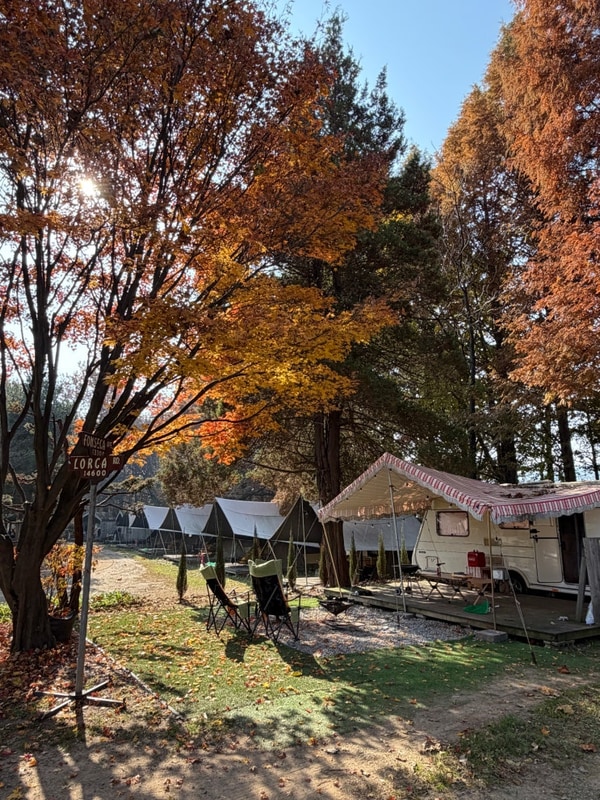강화캠핑파크 감성카라반 늦가을 글램핑 내돈내산 후기
