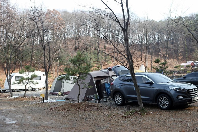 용인랜드 숲속캠핑장 시설 사진 12