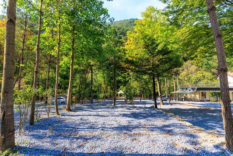 포레스트힐링캠프 시설 사진 11