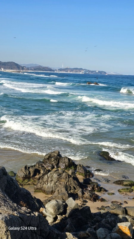 겨울바다 캠핑여행/삼척 장호비치캠핑장/초곡 용골촛대바위길...