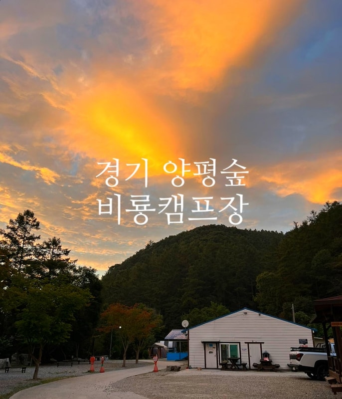 서울근교캠핑장 양평숲 비룡캠프장 고양이들과 함께한 2박3일...