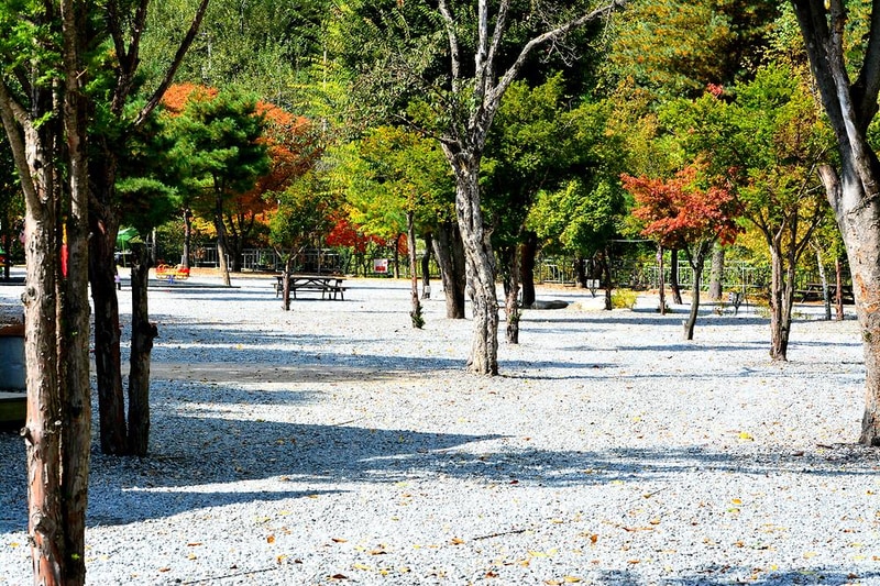 또올래캠핑장 시설 사진 14