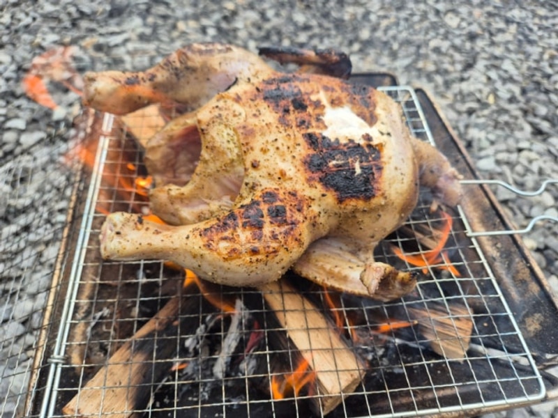 파주 - 자장캠핑장  비, 바람 막아주는 타프 완비 캠핑장 -닭...