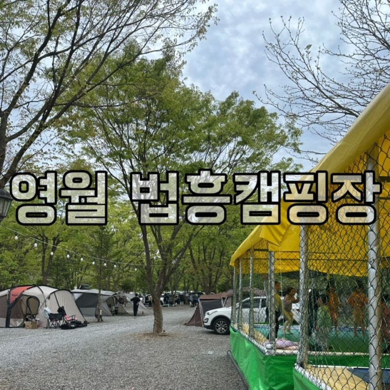법흥캠핑장, 영월 놀거리 많은 아이와 가볼만한 키즈캠핑장
