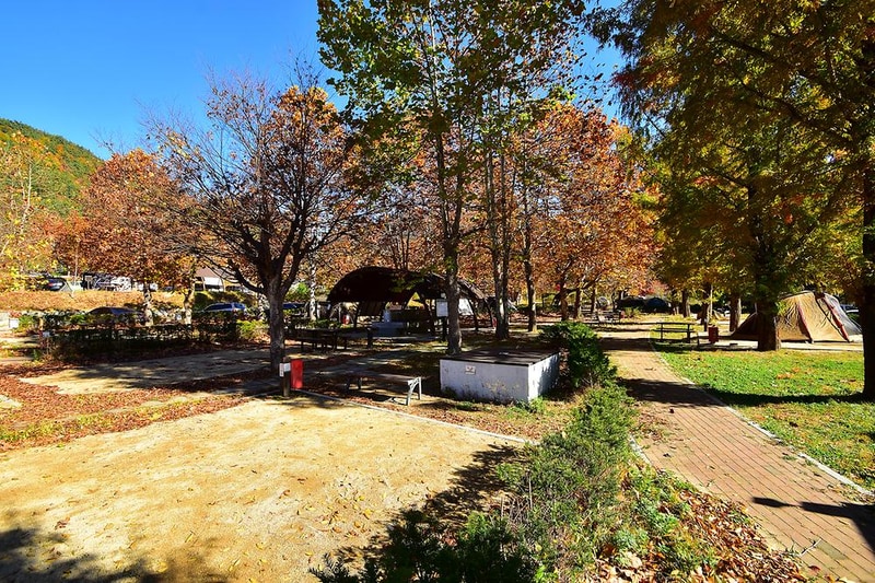 주왕산국립공원 상의자동차 야영장 시설 사진 15