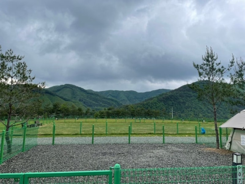 홍천 세이지힐 패밀리캠핑장 후기 (애견 동반)