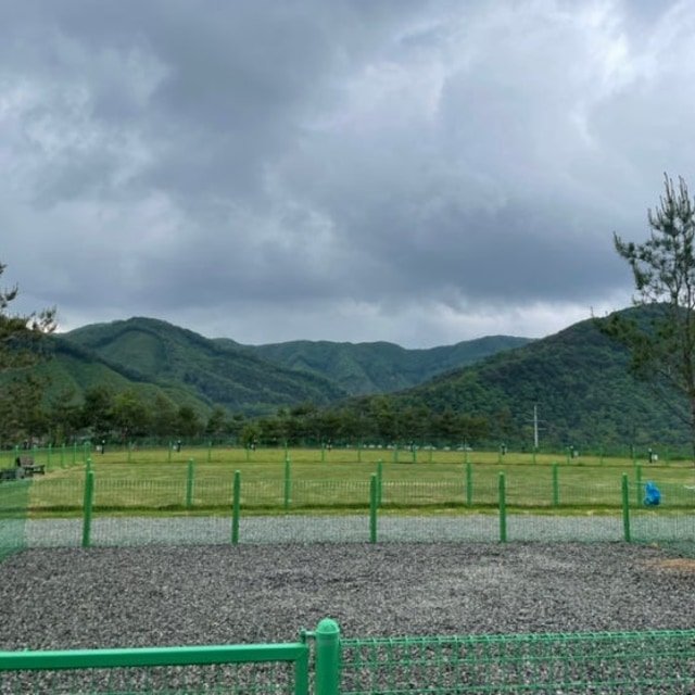 세이지힐 패밀리캠핑장 대표 사진