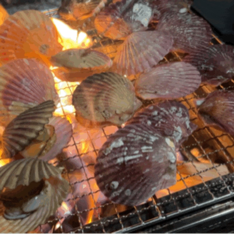 가을 캠핑 용인 단풍숲캠핑장 사자 사이트 아이랑