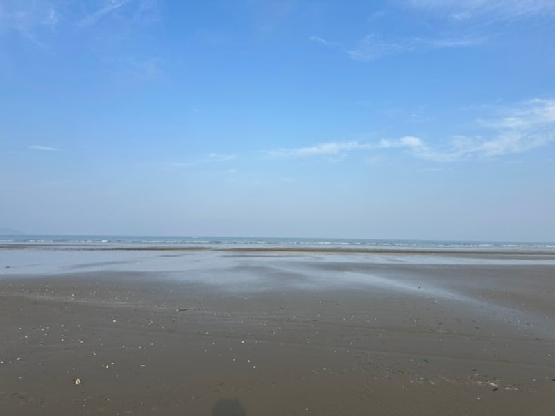 태안 꿈꾸는바다캠핑장 해루질 장비 대여