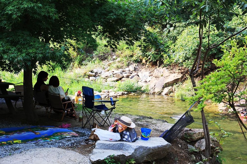 태양힐링숲 시설 사진 1