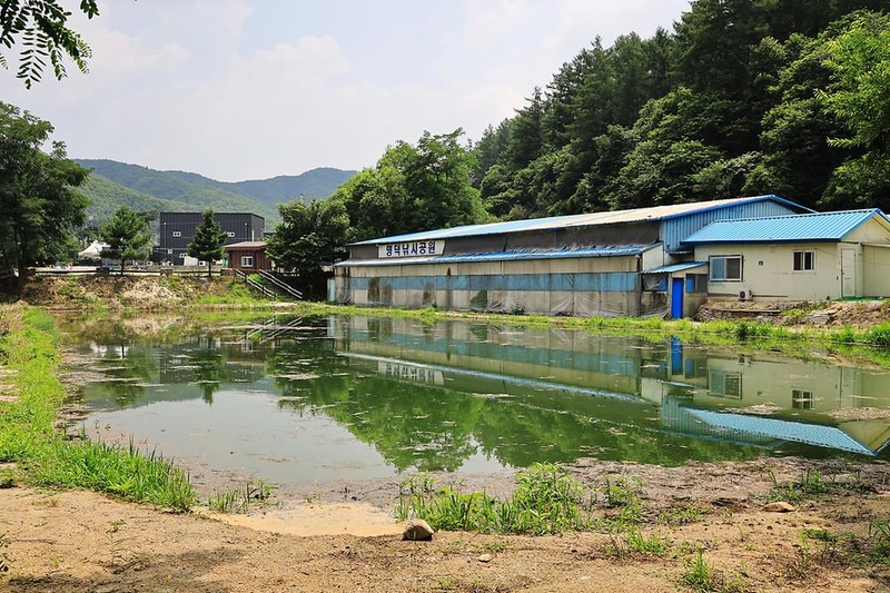 포레스트 캠핑장 시설 사진 7