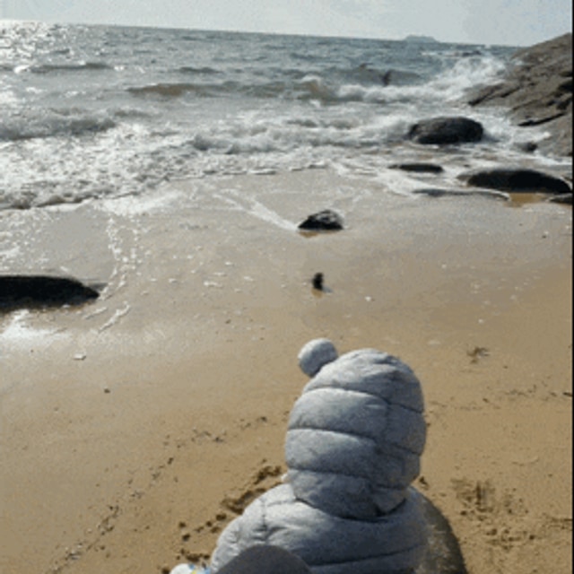 사창 해수욕장 야영장 대표 사진