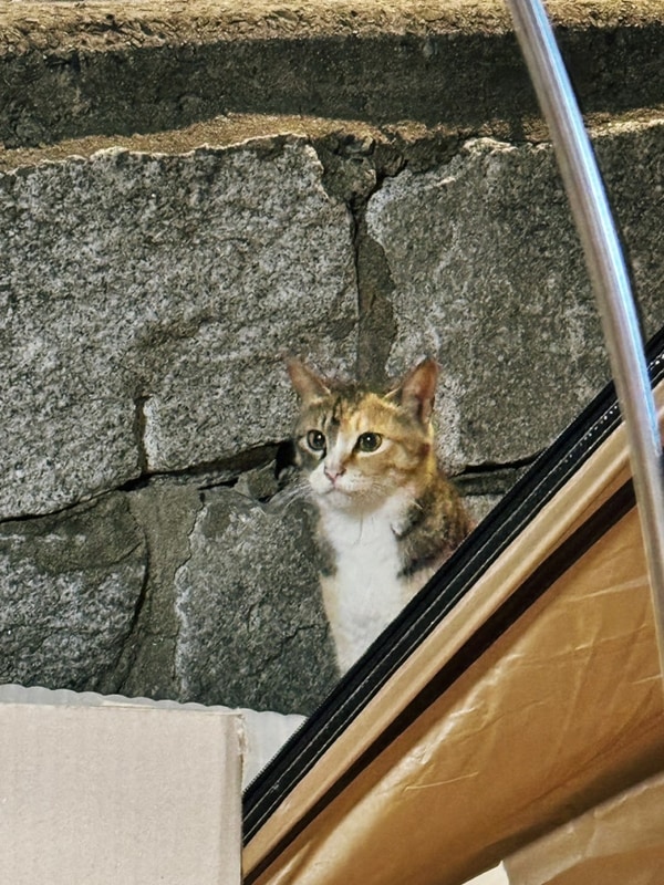 38. 남해초전마을캠핑장