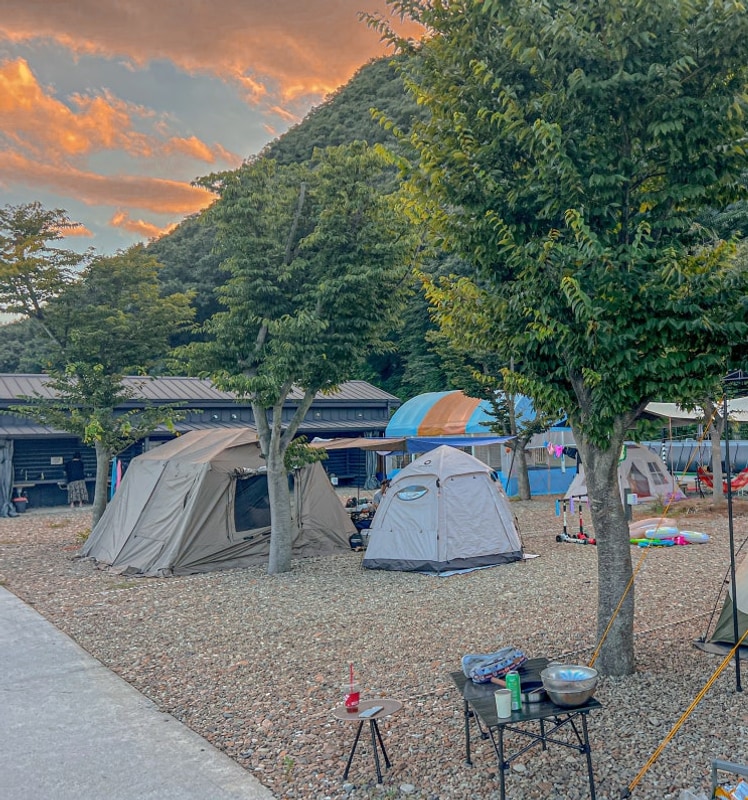 대구경북 근교 청도 캠핑장 은광디미 수영장 물놀이 3군데...