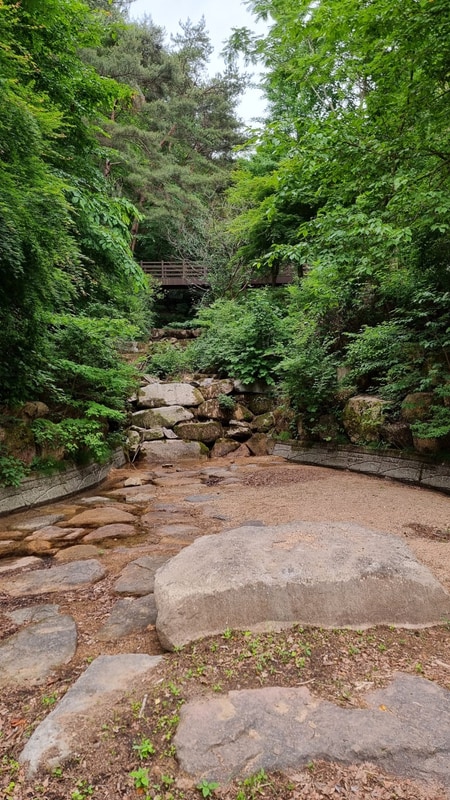 창녕 화왕산 자연휴양림 캠핑장 옆 작은 계곡