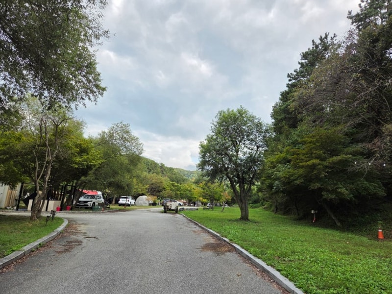 [용인 별아래 캠핑장 후기] 서울 근교 접근성 좋은 애견동반...