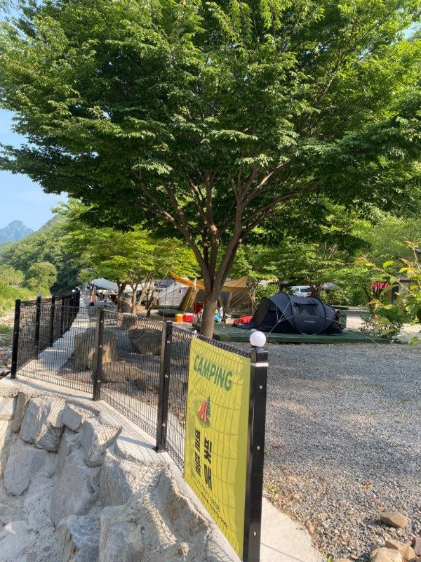 봉화 별빛뜰애 캠핑장, 별빛 아래 하루의 힐링