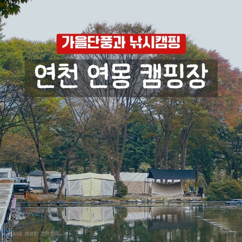 연천 연몽캠핑장 | 가을 단풍과 함께 낚시 캠핑, A9 사이트