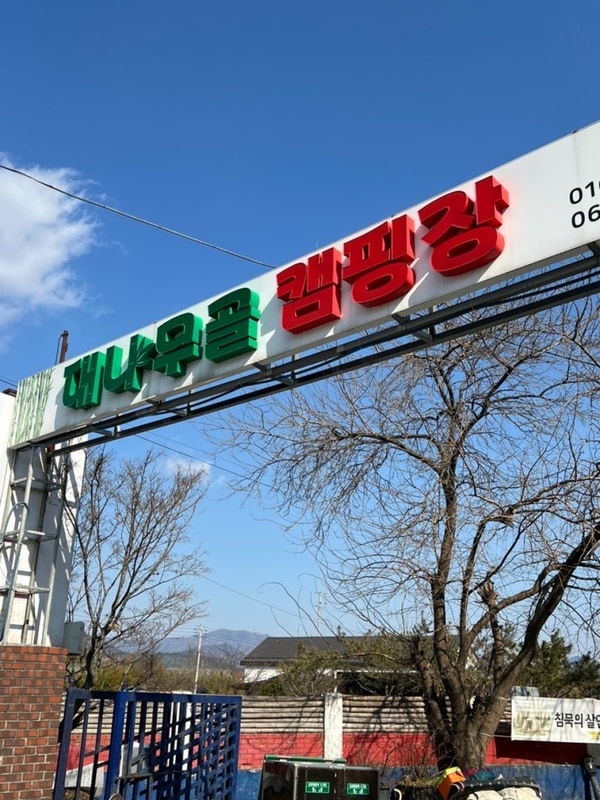 캠생아의 캠핑여행기️-담양대나무골 캠핑장(먹부림...