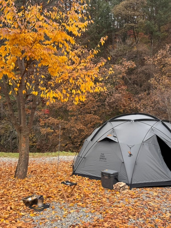 빨갛게 노랗게, 가평 캠프올모 가을 단풍캠