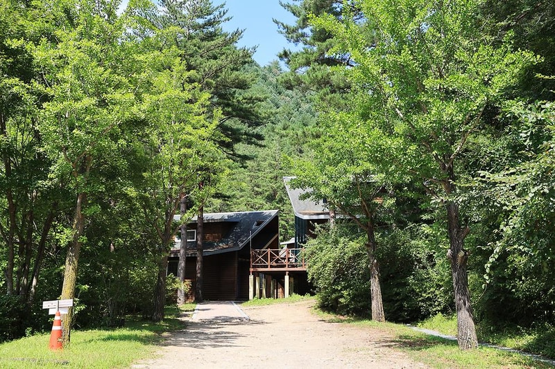 태백고원자연휴양림 자동차야영장 시설 사진 8