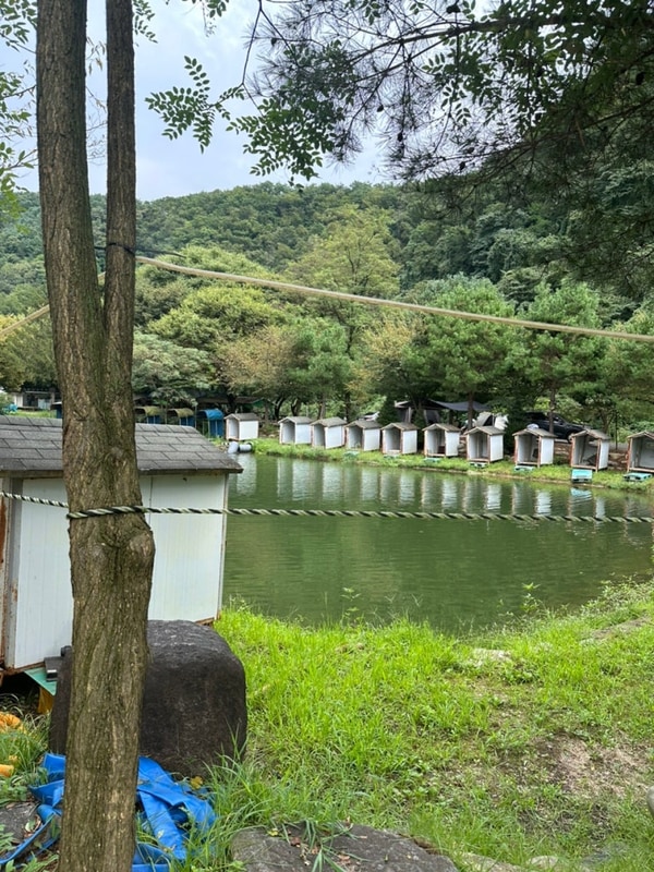 [경기도 가평/캠핑장] 계곡이 가까운 '청정캠핑장'
