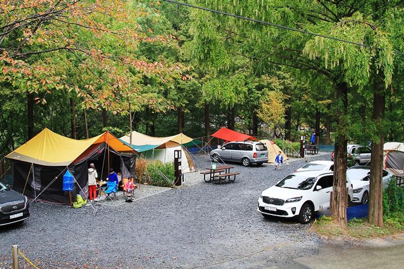 장태산 자연휴양림 대표 사진