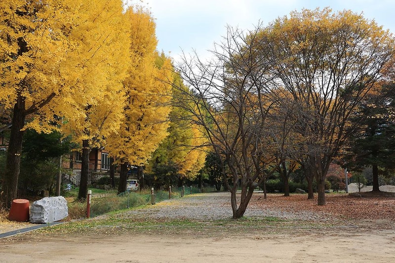 일영Star캠핑장 시설 사진 14