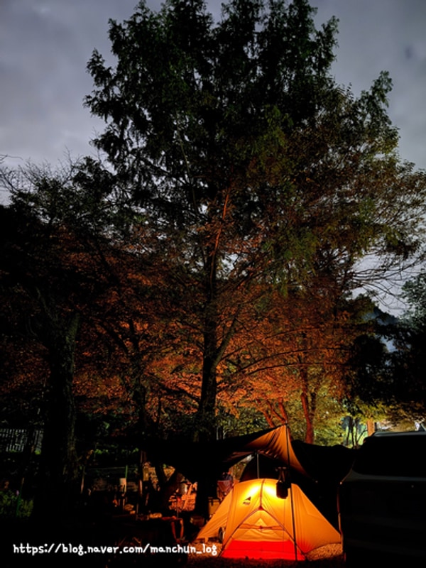 [ ️ 캠핑/파주] 낯설음과 함께한 비학농원 캠핑장