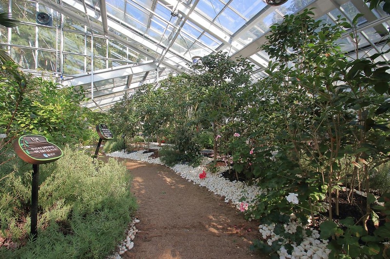 백야자연휴양림 오토캠핑장 시설 사진 7