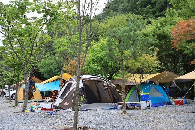 백년펜션 야영장 시설 사진 7