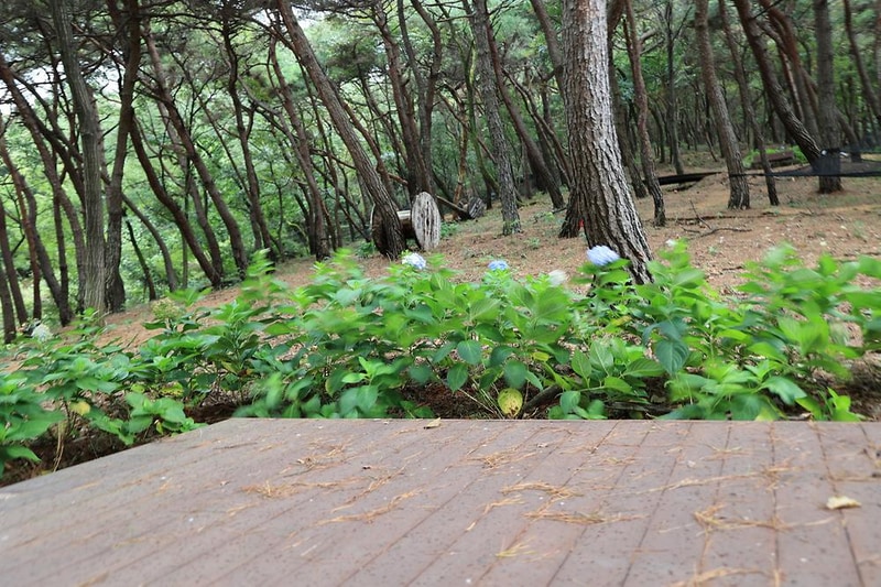 (주)지에스웹 야영장 플라움 시설 사진 12