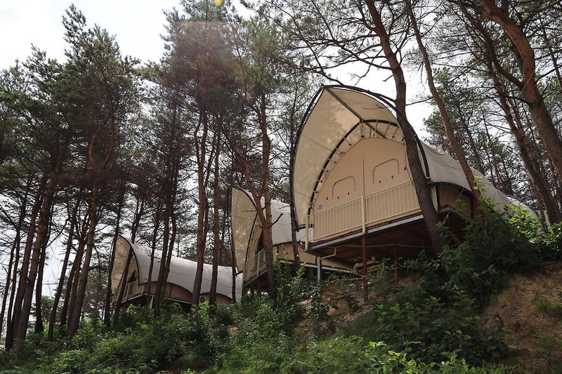 속초 밤하늘글램핑 시설 사진 15