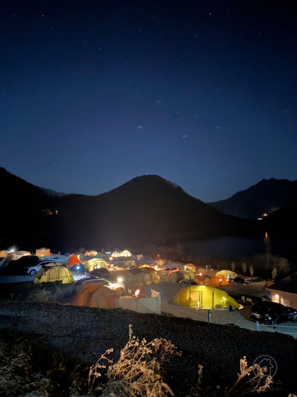 충주 애견동반 캠핑장 캠핑808 충주호 일출 편의시설 정보