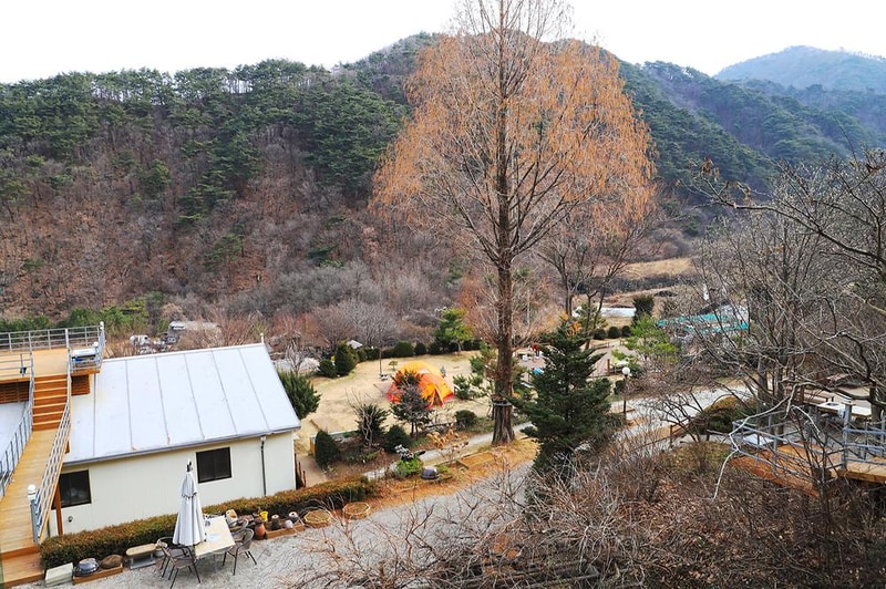 벳소캠프 시설 사진 11