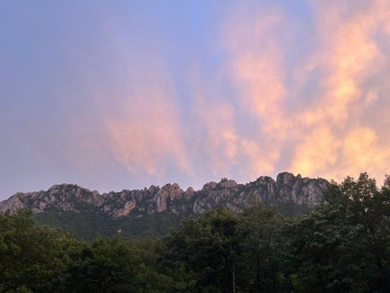 #23. 고성 캠핑느루 N8