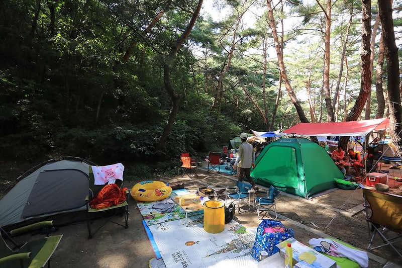 월악산국립공원 덕주야영장 시설 사진 12