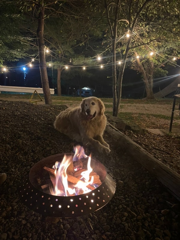 유유네 열일곱번째 캠핑) 8/8~8/11평창 삼남매와뭉치네...