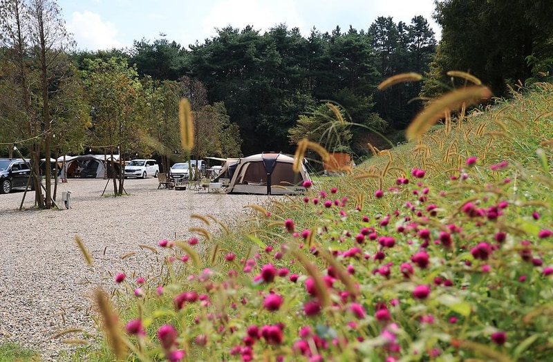 캠프여주 시설 사진 6