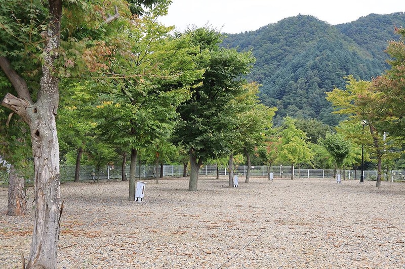 블루래빗 시설 사진 14